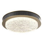 Iris Ceiling Flush / Wall Sconce - Gilded Brass / Dark Oak Wood