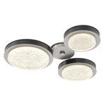 Iris Hub & Spoke Ceiling Light - Beige Silver / Matte Black