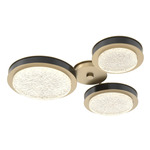 Iris Hub & Spoke Ceiling Light - Gilded Brass / Matte Black