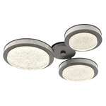 Iris Hub & Spoke Ceiling Light - Graphite / Light Oak Wood