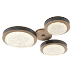 Iris Hub & Spoke Ceiling Light - Novel Brass / Dark Oak Wood