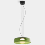 Levels Color-Select Single Pendant - Black / Green