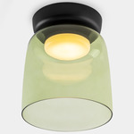 Levels Color-Select Single Semi Flush Ceiling Light - Black / Green
