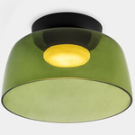 Levels Color-Select Single Semi Flush Ceiling Light - Black / Green