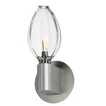 Ray Dance Wall Sconce - Brushed Aluminum / Clear