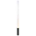 Elise Floor Lamp - Overstock - Black / Frosted