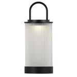 Tawa Frosted Portable Table Lamp - Black / Frosted