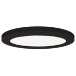 Slim Ceiling Flush Light - Black / White