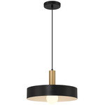Slate Pendant - Black / Antique Brushed Brass