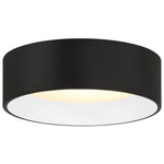 Cody Color-Select Ceiling Light - Matte Black / White
