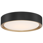 Malaga Color-Select Ceiling Light - Matte Black / White
