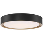 Malaga Color-Select Ceiling Light - Matte Black / White