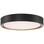 Malaga Color-Select Ceiling Light - Matte Black / White