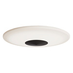 Alpine Color-Select Ceiling Light - Black / White