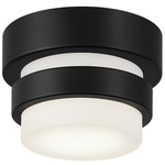 Miami Color-Select Ceiling Light - Black / White