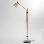 Riddle Floor Lamp - Brushed Brass / Black
