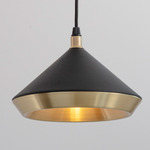Shear Pendant - Brushed Brass / Black