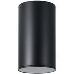 Ascoli Outdoor Ceiling Light - Black / Clear