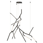 Scion Chandelier - Black / Frost