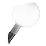 Parola Wall Light - Clear / White