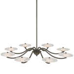 Coral Bloom Chandelier - Black Slate / Clear