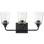 Hudson Bathroom Vanity Light - Black / Clear