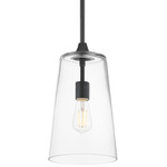Hudson Pendant - Black / Clear