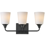 Hudson Bathroom Vanity Light - Black / Satin White
