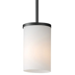 Lateral Pendant - Black / Satin White