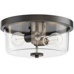 Fuller Ceiling Light - Black / Clear