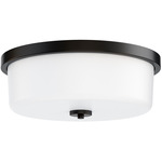 Fuller Ceiling Light - Black / White