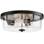Fuller Ceiling Light - Black / Clear