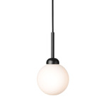 Apiales Pendant - Satin Black / Opal