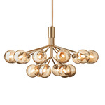 Apiales Chandelier - Brushed Brass / Gold