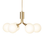 Apiales Chandelier - Brushed Brass / Brushed Brass / Opal