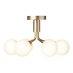 Apiales Ceiling Light - Brushed Brass / Brushed Brass / Opal