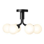 Apiales Ceiling Light - Satin Black / Satin Black / Opal