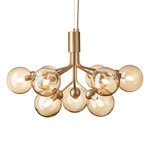 Apiales Chandelier - Brushed Brass / Gold