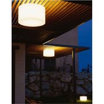Harry Ceiling Flush - White
