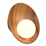 Oyster Wall Sconce - Teak