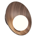 Oyster Wall Sconce - American Walnut