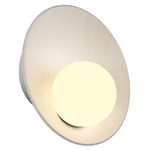 Oyster Wall Sconce - Organic White