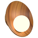 Oyster Wall Sconce - Teak