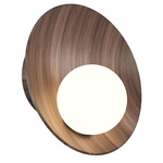 Oyster Wall Sconce - American Walnut
