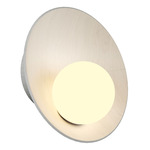 Oyster Wall Sconce - Organic White