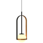 Strap Globe Pendant - Teak / Frosted