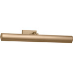 Gallery Color-Select Picture Light - Satin Brass / White Acrylic