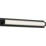Weston Color-Select Bathroom Vanity Light - Midnight Black / Transparent