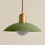 Arundel Orb Pendant - Brass / Reed Green Shade