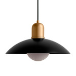 Arundel Orb Outdoor Pendant - Brass / Black Shade